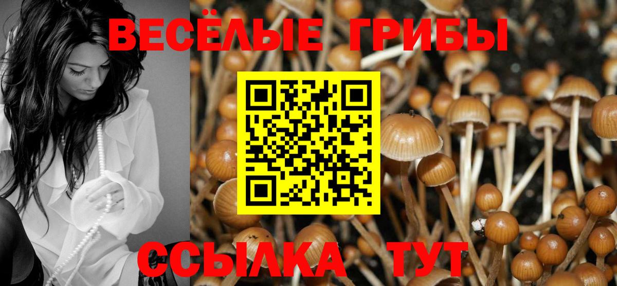 Псилоцибиновые грибы прущие грибы Горячий Ключ