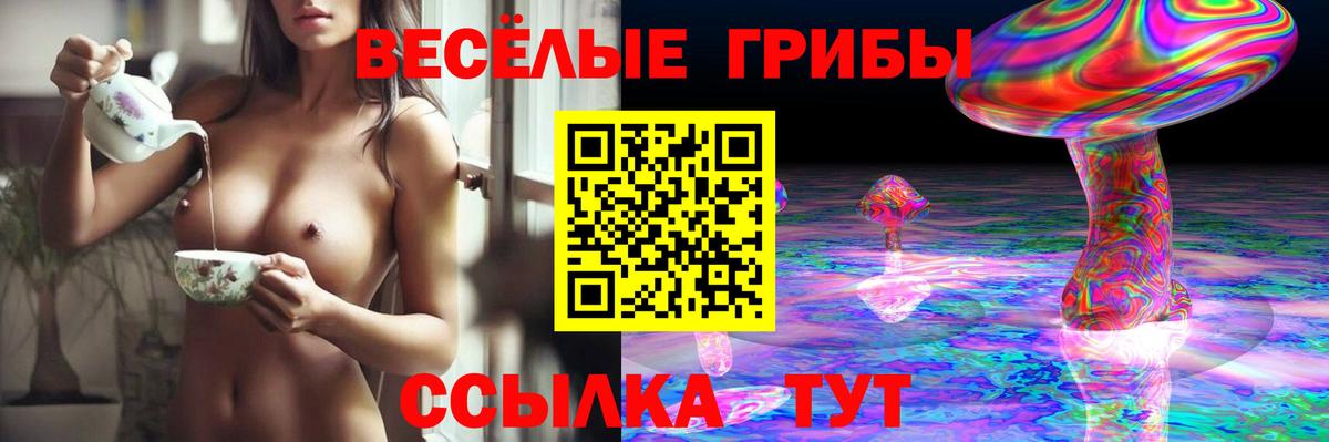 купить наркоту  Псилоцибиновые грибы мухоморы  Вход с VPN  Горячий Ключ 